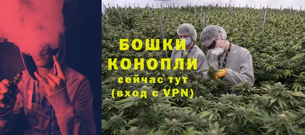 стафф Аркадак